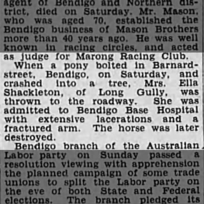 newspaper: Mrs Ella Sheckelton injured in pony-bolting accident, Barnard Street, Bendigo
